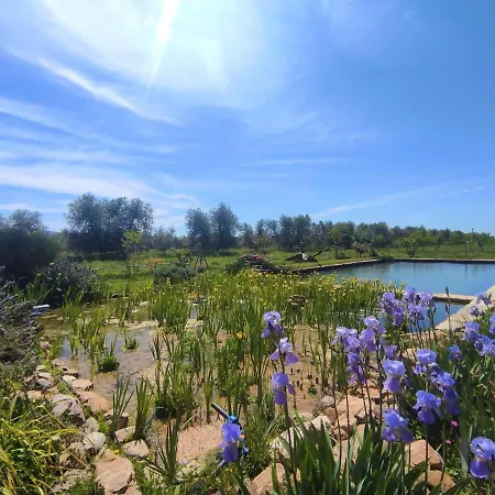 Ovest By Interhome Holiday home